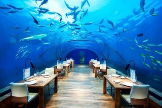 Romantic dinner