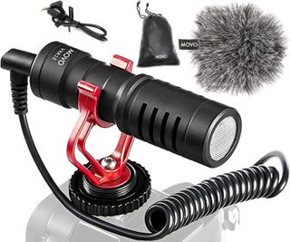 Microphone