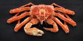 Камчатский Краб