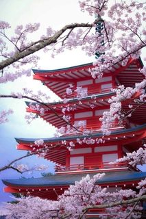 ✈️MAKE ME FEEL HAPPY IN JAPAN✈️