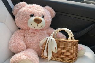 Giant Teddy Bear