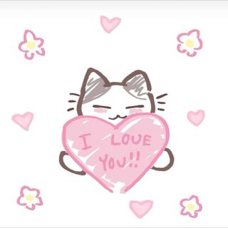 help homeless animals in my city/help animals