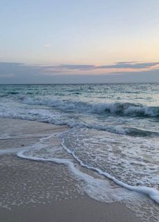 Fly to the sea