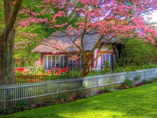 house