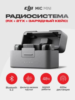 Радиосистема Mic Mini (RX + 2TX + case)