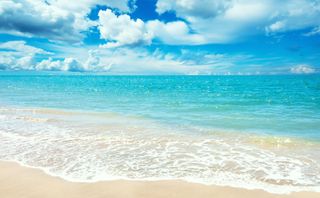 Trip to the sea.