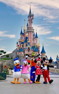 The main dream of childhood Disneyland