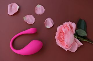 Lovense toy