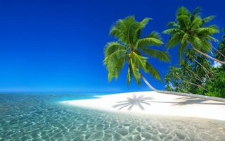 beach vacation