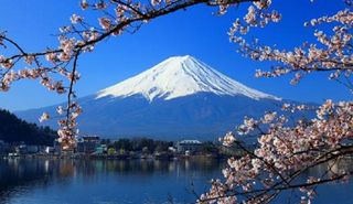 Trip to Japan