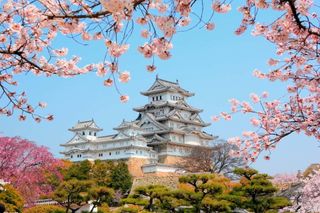 My dream is to visit Japan