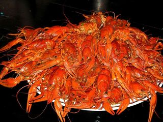 You can eat your fill of crayfish, maybe with a beer!