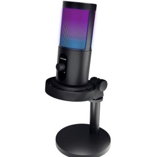 Microphone