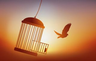 To be free))