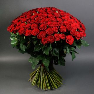 101 roses