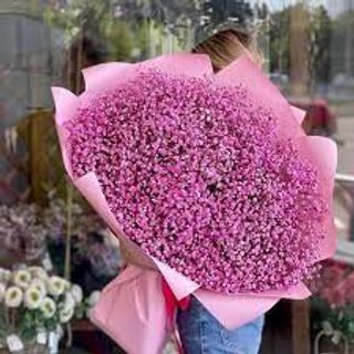 Bouquet of gypsophila