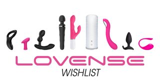LOVENSE TOYS