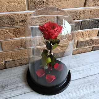 Rose in a flask