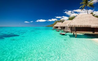 Travel