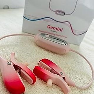 Lovense gemini