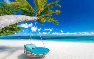Traveling around the world