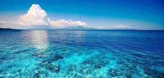 Trip to the sea