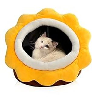 deseos de amazon