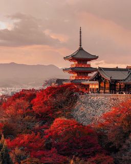 Trip to Japan