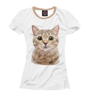 meow