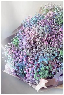 Цветооочки