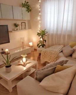 rent an apartment
