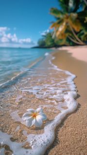 My first Vacation in the sea