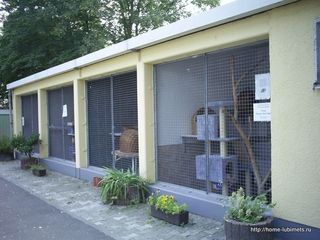Build an animal shelter