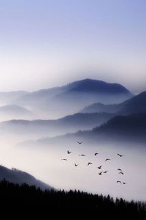 Travel