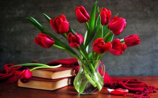 bouquet of flowers