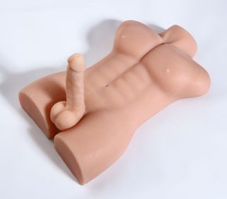 TORSO