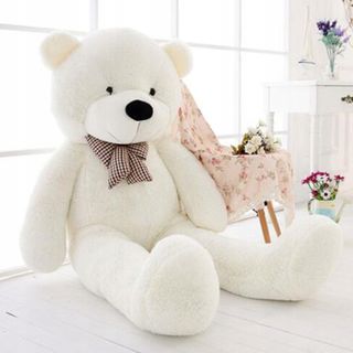 bear)
