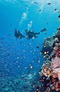 Diving