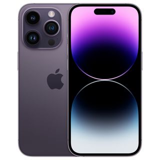 sara-ibarra wish list item 1 thumbnail