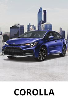Corolla LE