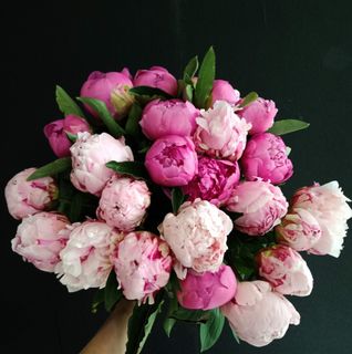 flowers :3
