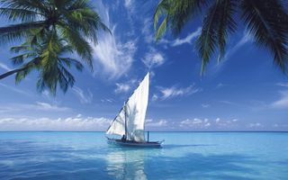 a holiday trip to an exotic country