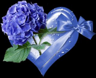 i love gift