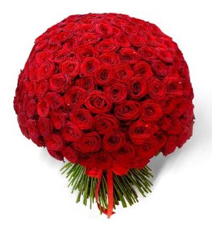Fleurs