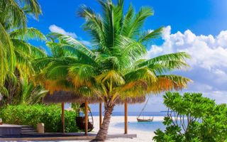 Beach Vacation