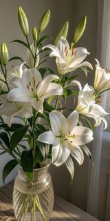 pretty flowers