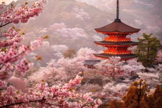 Travel to Japan