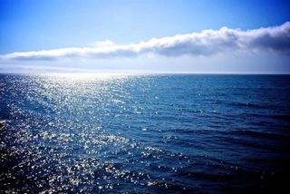 Visit the sea