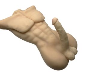Torso