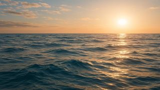 I have never seen the ocean